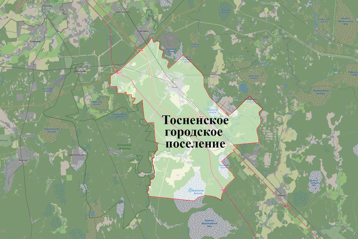 В ПЗЗ Тосненского поселения утверждены требования к АГО ОКС