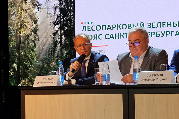В Гатчинском Доме культуры прошли общественные слушания по вопросу включения территорий Ленобласти в «зелёный пояс» Петербурга