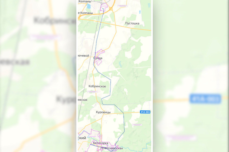 Утверждена документация по планировке территории для реконструкции ВЛ 110 кВ «Белогорская-2» в Гатчинском округе