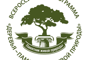 С 1 мая до 1 августа Ленинградская область участвует в конкурсе  «Российское дерево года - 2025»