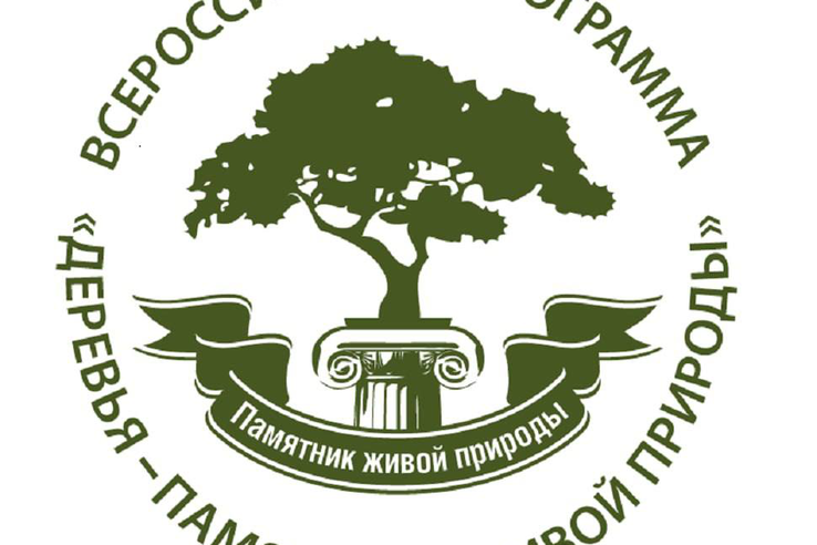 С 1 мая до 1 августа Ленинградская область участвует в конкурсе «Российское дерево года - 2025»