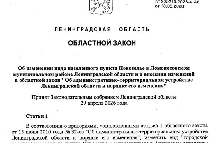 Новоселье официально получило статус города