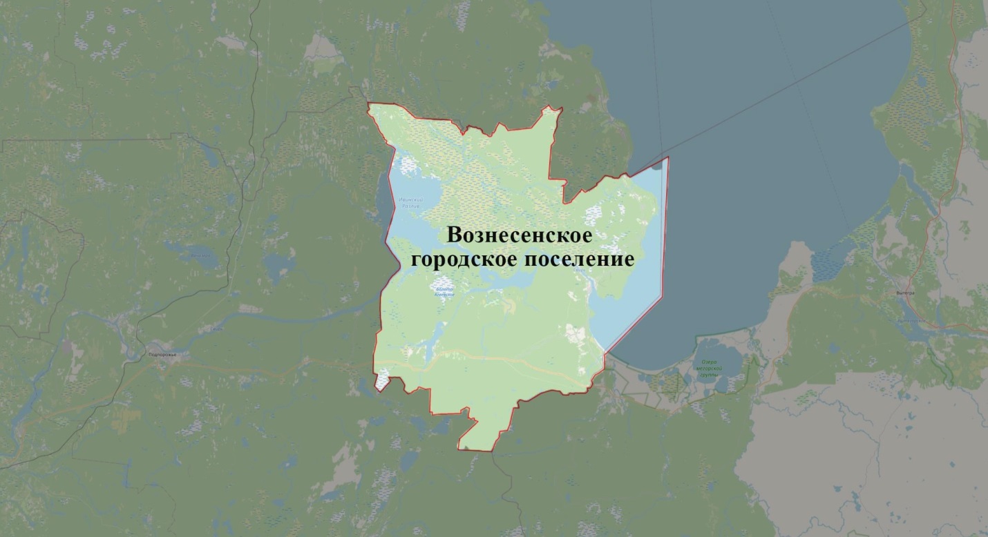 Вознесенское городское поселение